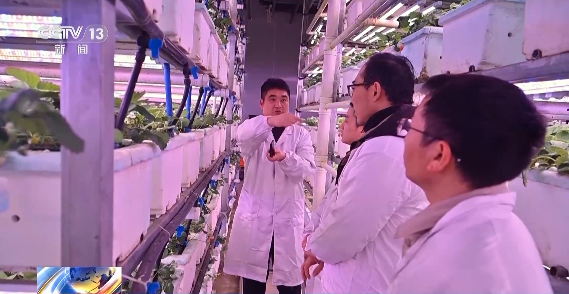 贵州西部农产品投资_贵州西部农产品交易中心官网_贵州西部农产品物流园