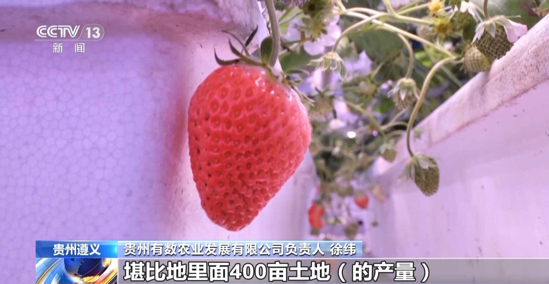 贵州西部农产品交易中心官网_贵州西部农产品物流园_贵州西部农产品投资