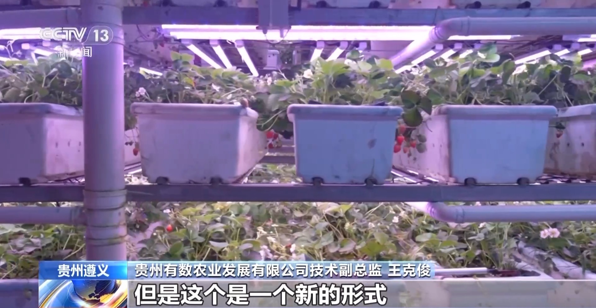 贵州西部农产品物流园_贵州西部农产品交易中心官网_贵州西部农产品投资
