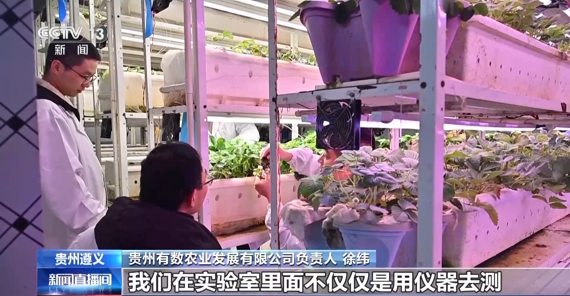 西部农业投资集团董事长_贵州西部农产品投资_贵州西部农资有限公司