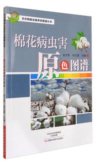 《棉花作物病虫害肆虐，如何有效防治？》