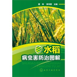 水稻病虫害防治：用药之道，守护丰收的秘密武器