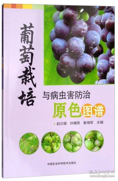 《葡萄病虫害图谱解析与科学用药指南：守护果实丰收的秘密武器》
