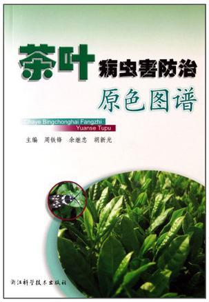 茶叶病虫害防治图谱：守护茶田的绿色守护神