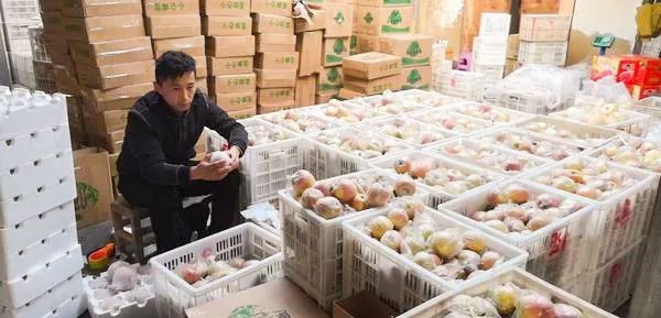 苹果产品电子商贸_苹果 农产品电子商务_商务购买苹果