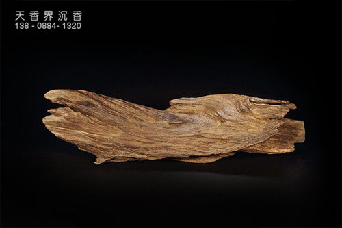 沉香种植：探寻古老香木的新兴之路