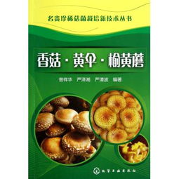 榆黄蘑种植新篇章：揭秘高效栽培技术
