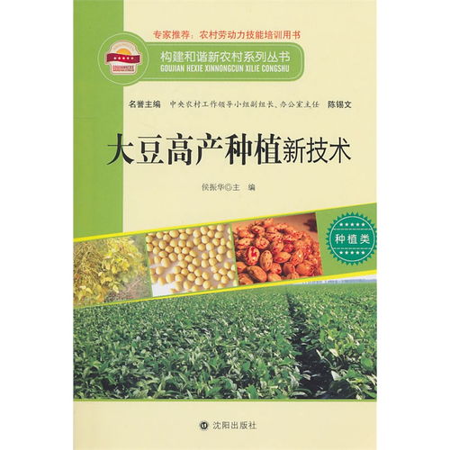 大豆高产种植新突破：揭秘现代农业科技助力丰收奥秘