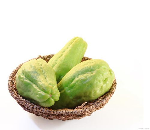 揭秘佛手瓜种植奥秘：高效益的绿色农业新宠