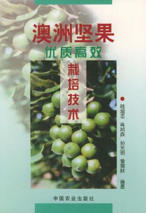 《坚果产业新篇章：揭秘坚果种植与高效管理之道》