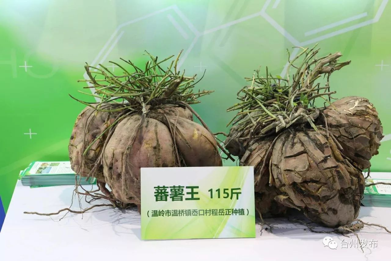 南京农副产品展会_南京农产品展销会_2020年南京农展销会