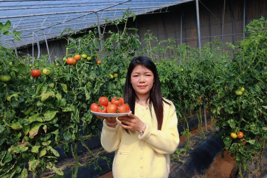 微信图片_20250401161444.jpg
