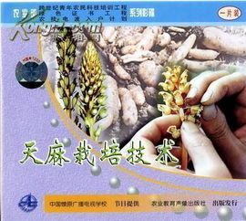 揭秘天麻种植奥秘：一场科技与自然的邂逅