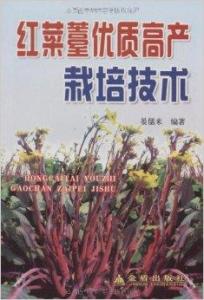《揭秘红著种植奥秘：高效管理技术助您增产增收》