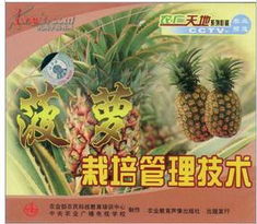 菠萝种植技术揭秘：如何让“凤梨”成为致富果？