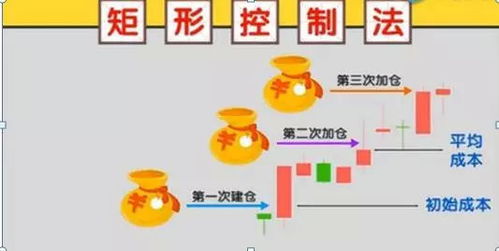 《红江橙的黄金种植之道：揭秘高效管理技术》