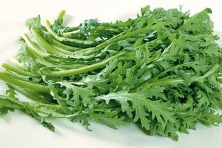 揭秘茼蒿菜高效种植技术，轻松实现绿色增收