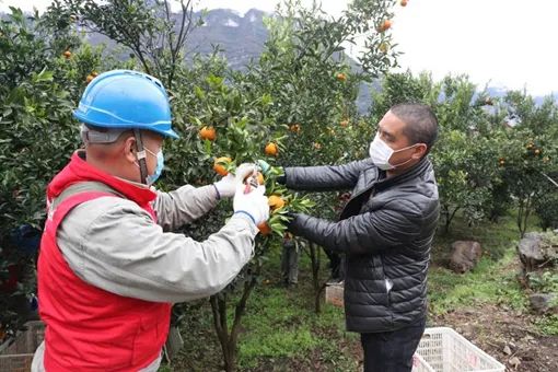 湖北农产品交易网_湖北农产品电商平台_湖北农产品销售网