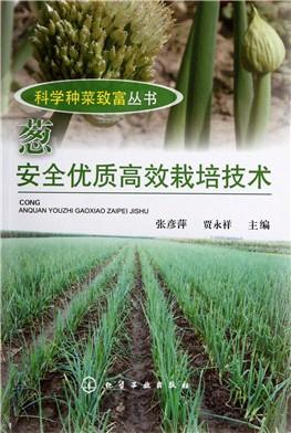 白艿种植技术革新：揭秘高效益的秘密武器