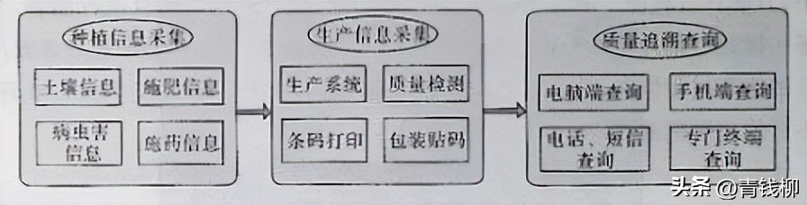 二维码溯源系统技术原理_二维码溯源系统怎么做_农产品溯源 二维码