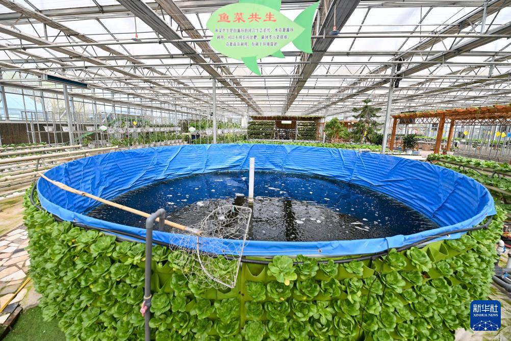 2020农业前景较大的项目_农产品项目发展前景_前景农业公司