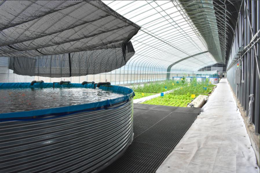 前景农业公司_农产品项目发展前景_2020农业前景较大的项目