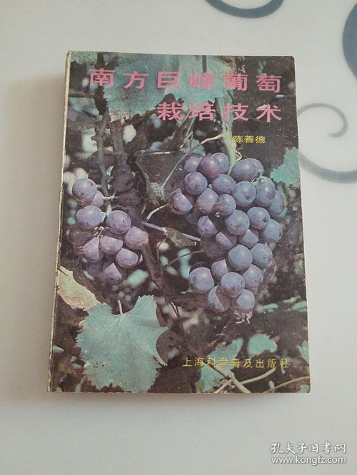 《巨峰葡萄种植：揭秘高效管理之道，助您丰收满园》