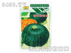 谢花面南瓜种植新篇章：揭秘高效种植技术，助力丰收