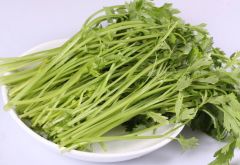 《香芹种植攻略：揭秘高效益的绿色种植技术》