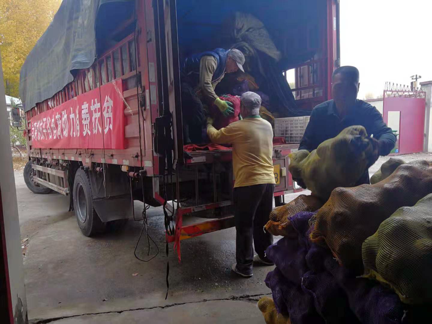 农产品滞销时间_滞销农产品实时查询大数据平台_滞销农产品是什么