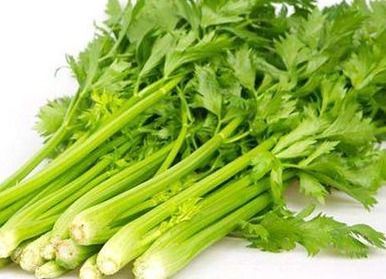 《夏芹菜种植技术揭秘：如何让您的芹菜丰收又美味？》