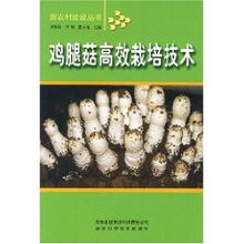 揭秘鸡腿菇种植奥秘：技术培训助您轻松致富