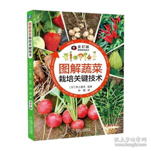 《现代农业下的蔬菜种植革命：一本不可或缺的种植技术宝典》