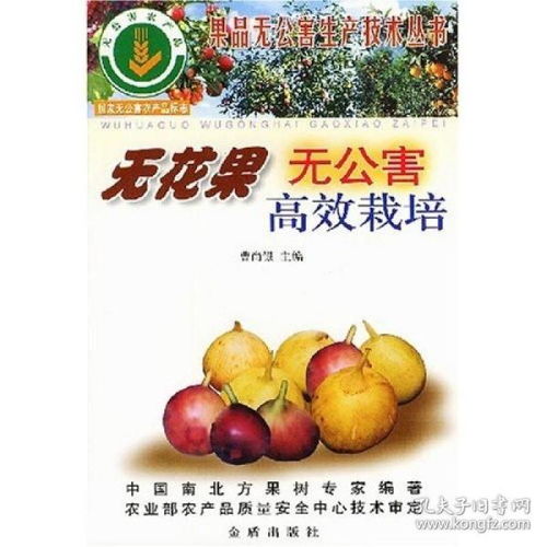 无花果种植新篇章：揭秘高效种植技术，助力果农增收！
