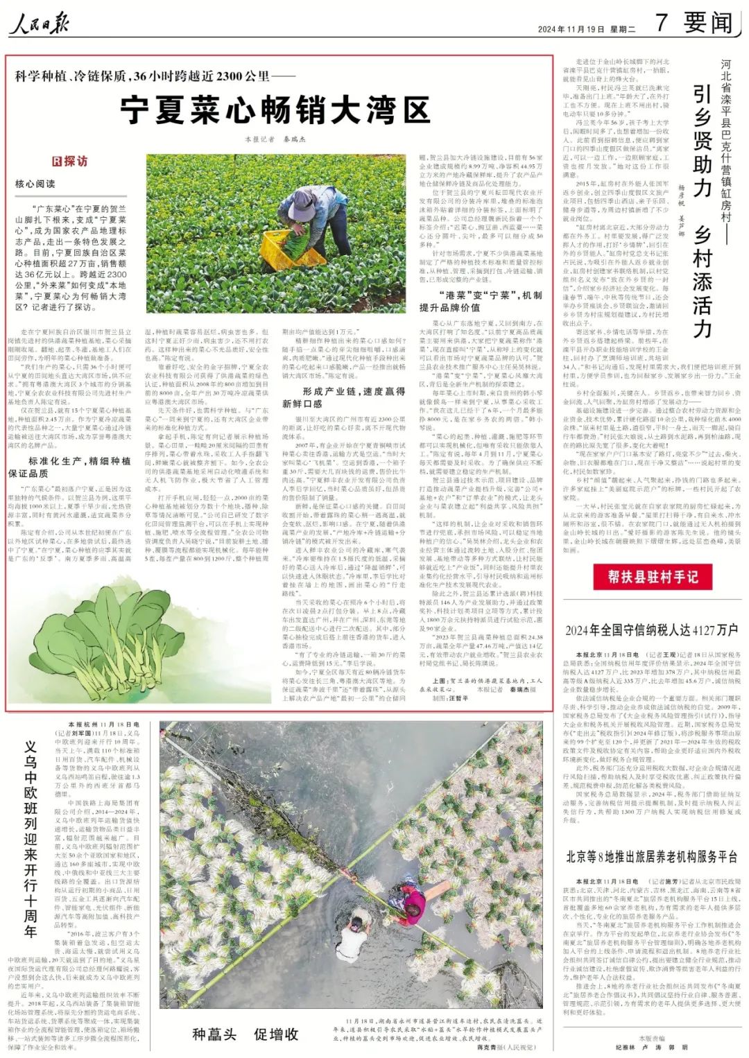 畅销农产品排行_畅销农产品有哪些_畅销的农产品