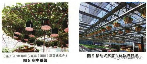 绿意盎然未来——揭秘景观种植的尖端新技术