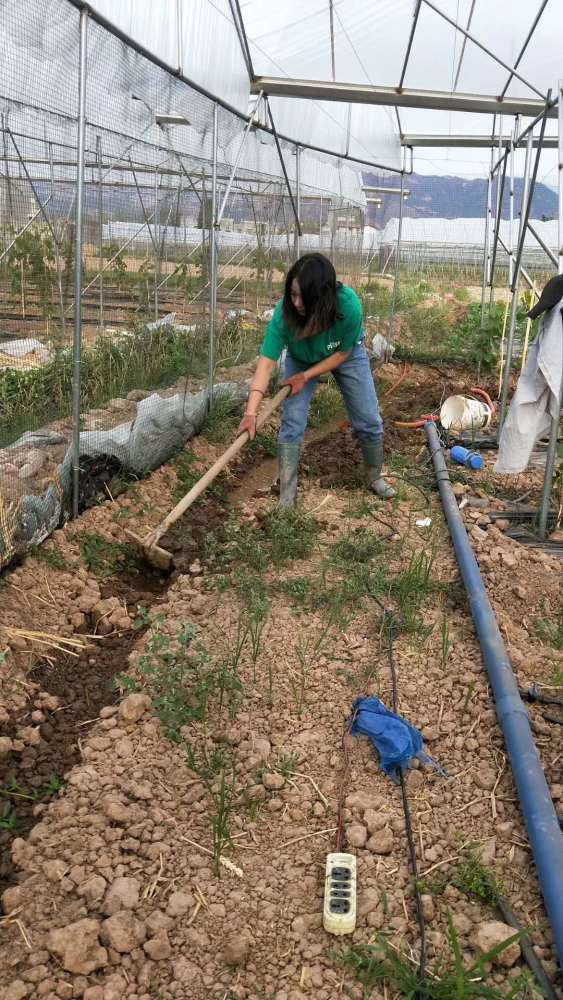 解锁种植奥秘：揭秘2025年热门种植技术学习课程，开启绿色致富之路