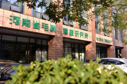 毛发种植技术革新，合肥引领行业新风向