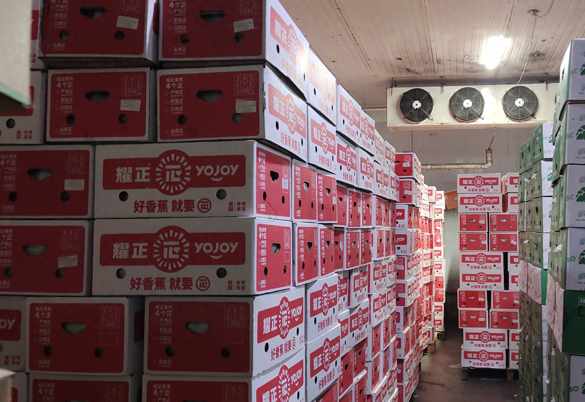 老挝农业_老挝农产品有哪些_老挝农产品出口中国目录