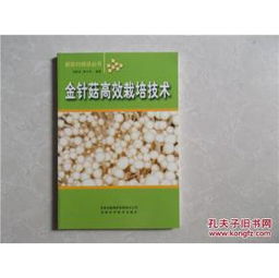 金针菇种植新篇章：技术革新与市场拓展之道