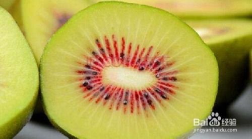 《揭秘高效种植三七：专家级视频教程助您轻松上手》