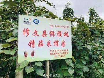揭秘农林网弥猴桃种植技术：如何打造高品质果实？