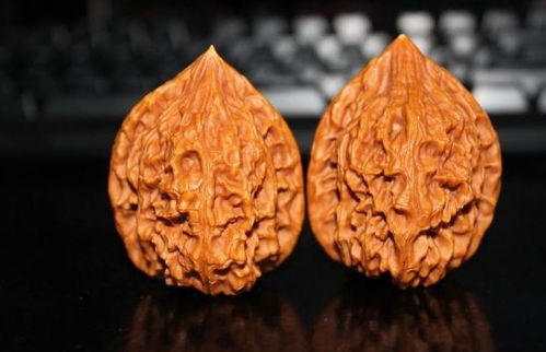 揭秘文玩核桃种植奥秘：如何培育出优质核桃？