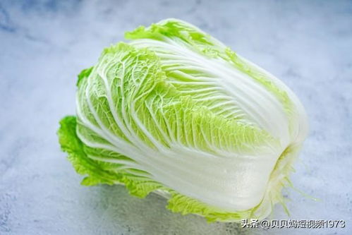 夏季白菜种植攻略：揭秘高效高产的秘密武器