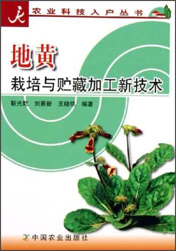 《揭秘地黄种植高产秘籍：如何实现亩产千斤？》