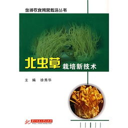 揭秘北虫草种植奥秘：技术升级，效益倍增