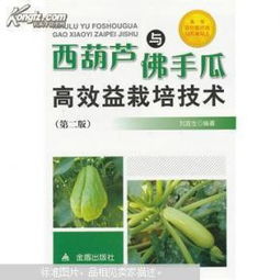 《揭秘佛手瓜种植奥秘：高效种植技术视频详解，种植新手也能轻松上手！》
