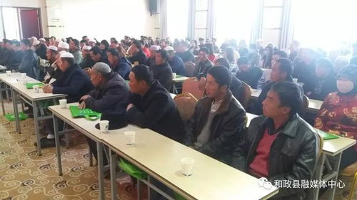 揭秘赤松茸种植秘籍：技术培训助力产业升级