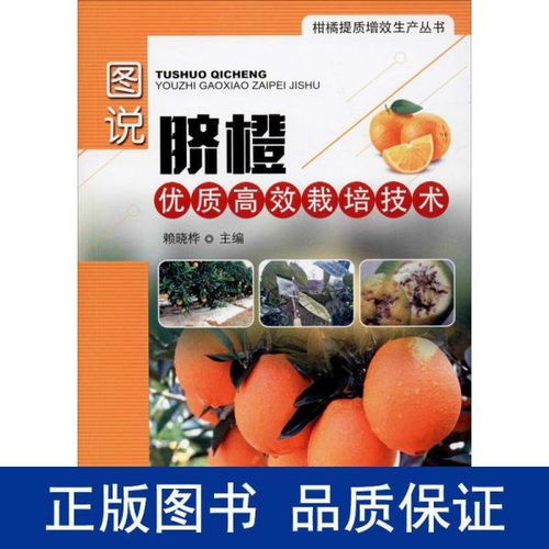 揭秘柑橘种植巅峰之作：《柑橘种植技术宝典》——引领资讯群体掌握自然之果的秘密