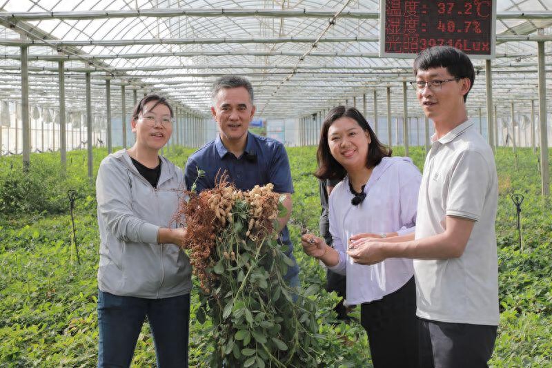 云南农产品公司有哪些_云南省对农业企业的扶持政策_云南农产品企业